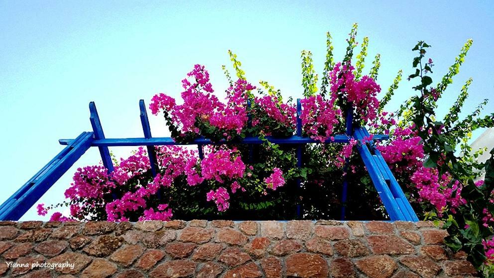 Bougainvillea Suites Kamári Exterior foto